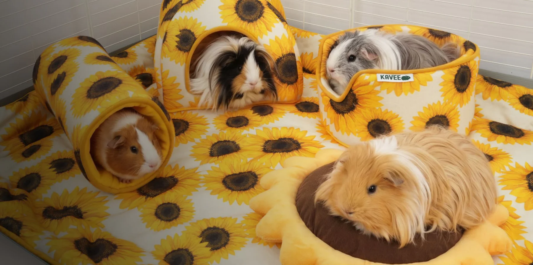 Elevate Your Guinea Pig's Home
