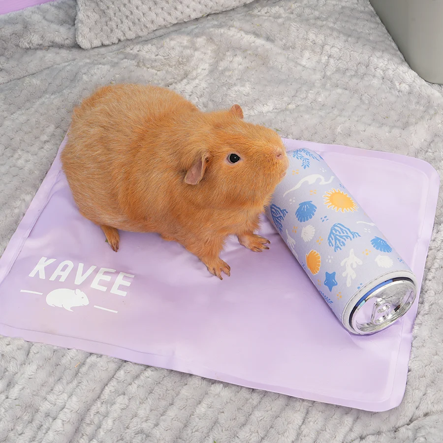 Freezable Bottle for Guinea Pigs & Rabbits - Image 5
