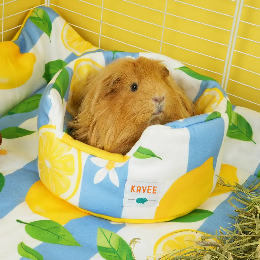 Cuddle Cup for Guinea Pigs | Amalfi Collection - Image 5