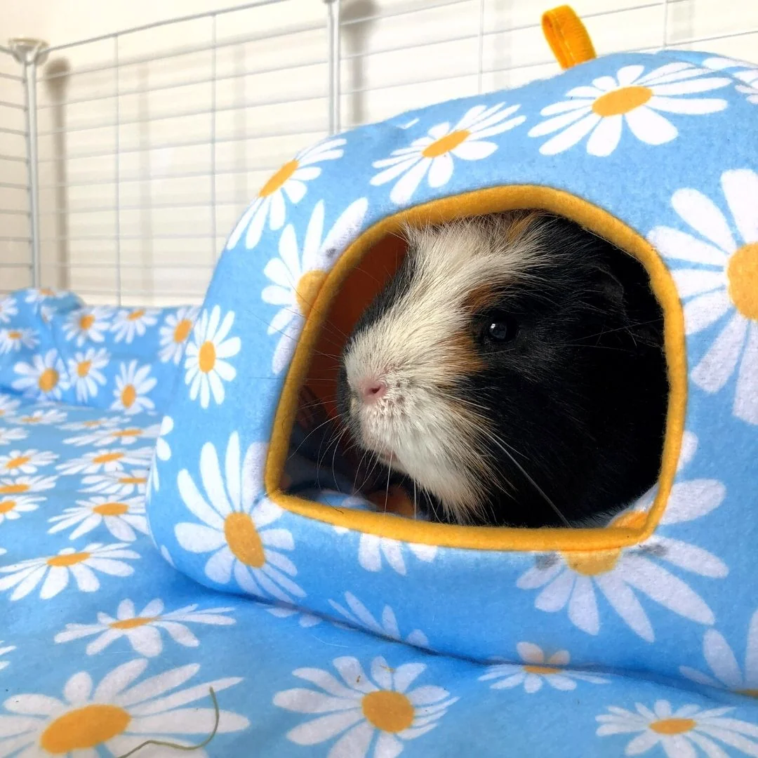 Fleece Hide for Guinea Pigs | Daisy Collection - Image 3