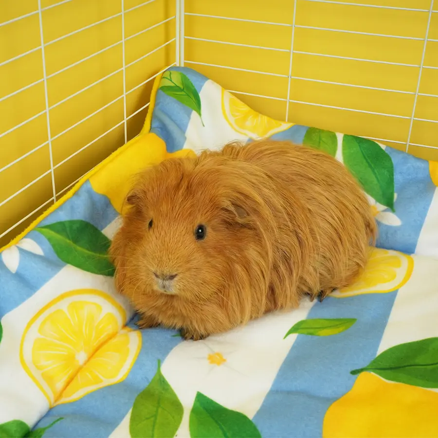 Plush Fleece Liner for Guinea Pigs | Lemon Amalfi Collection - Image 4
