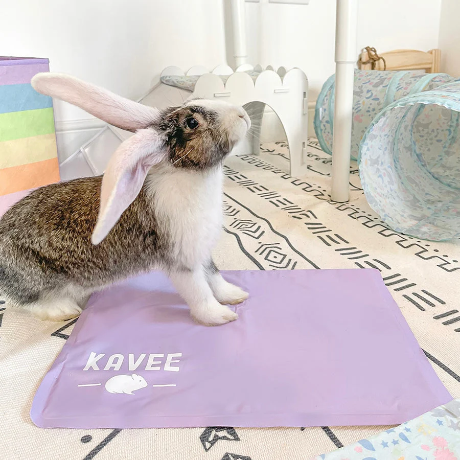 Cooling Mat for Rabbits & Guinea Pigs - Image 4