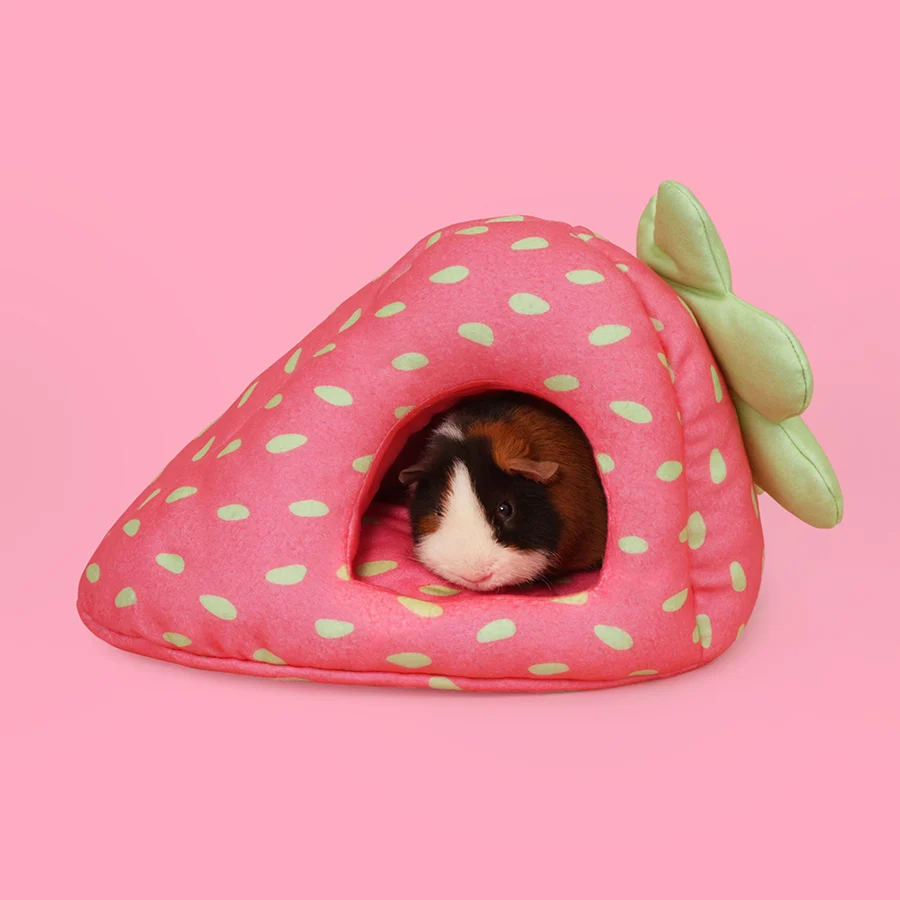 Hide for guinea pigs | Strawberry - Image 3