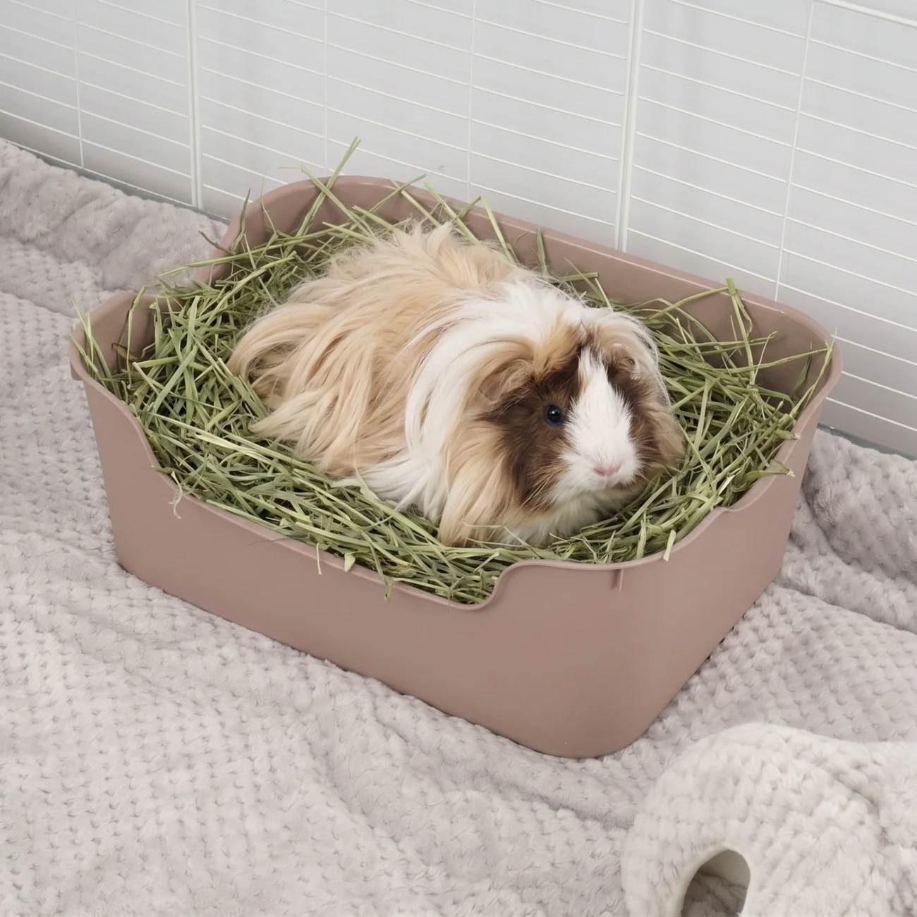 Litter Box for Guinea Pigs & Rabbits - Image 3