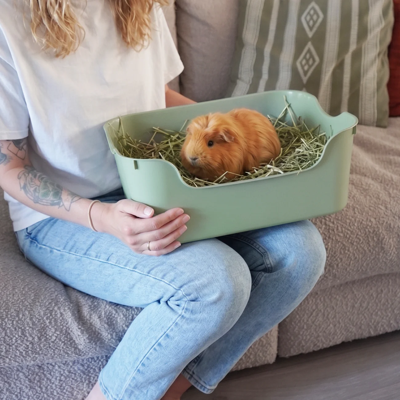 Litter Box for Guinea Pigs & Rabbits - Image 7