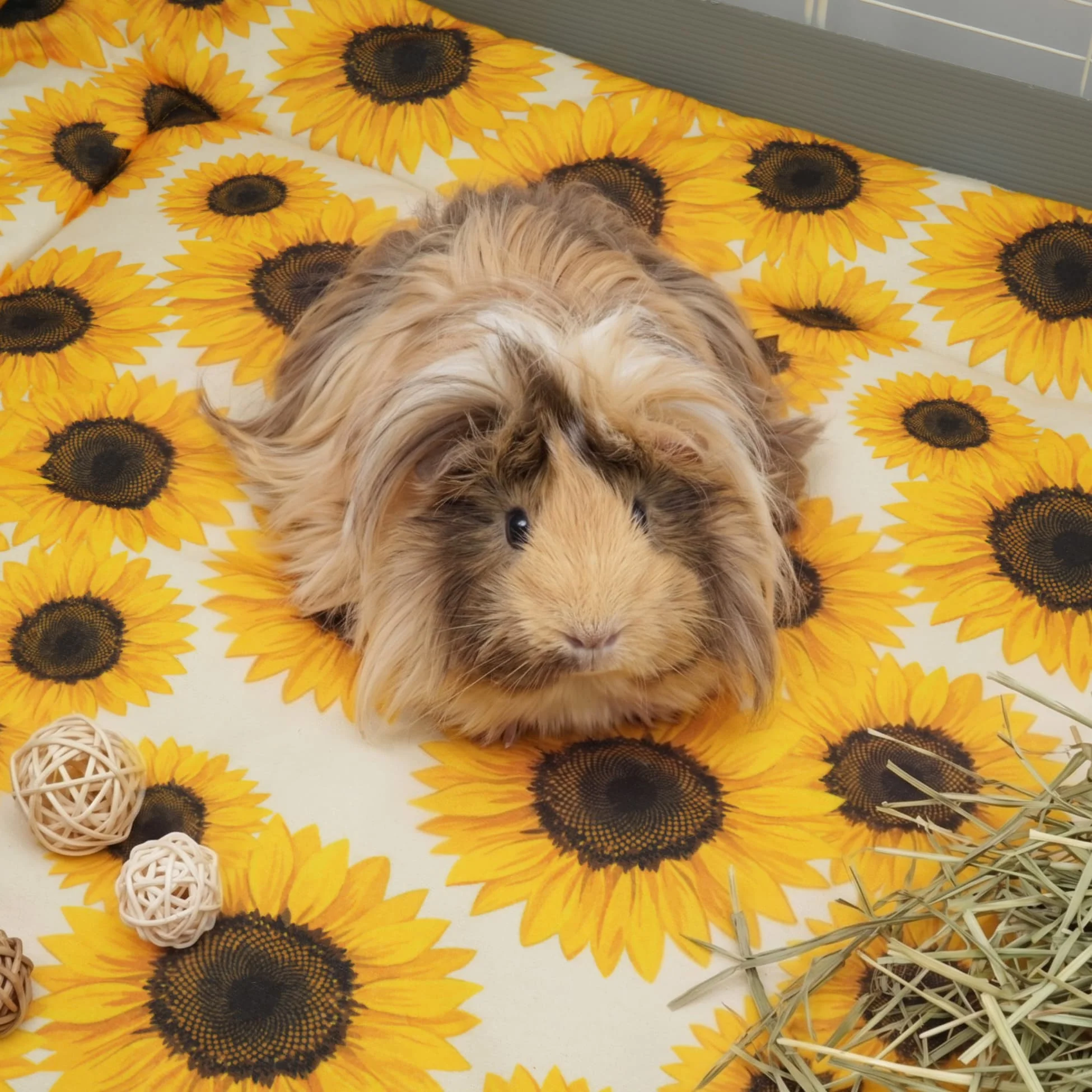 Set of 2 Plush Fleece Liner for Guinea Pigs | Sunflower Collection - Image 7