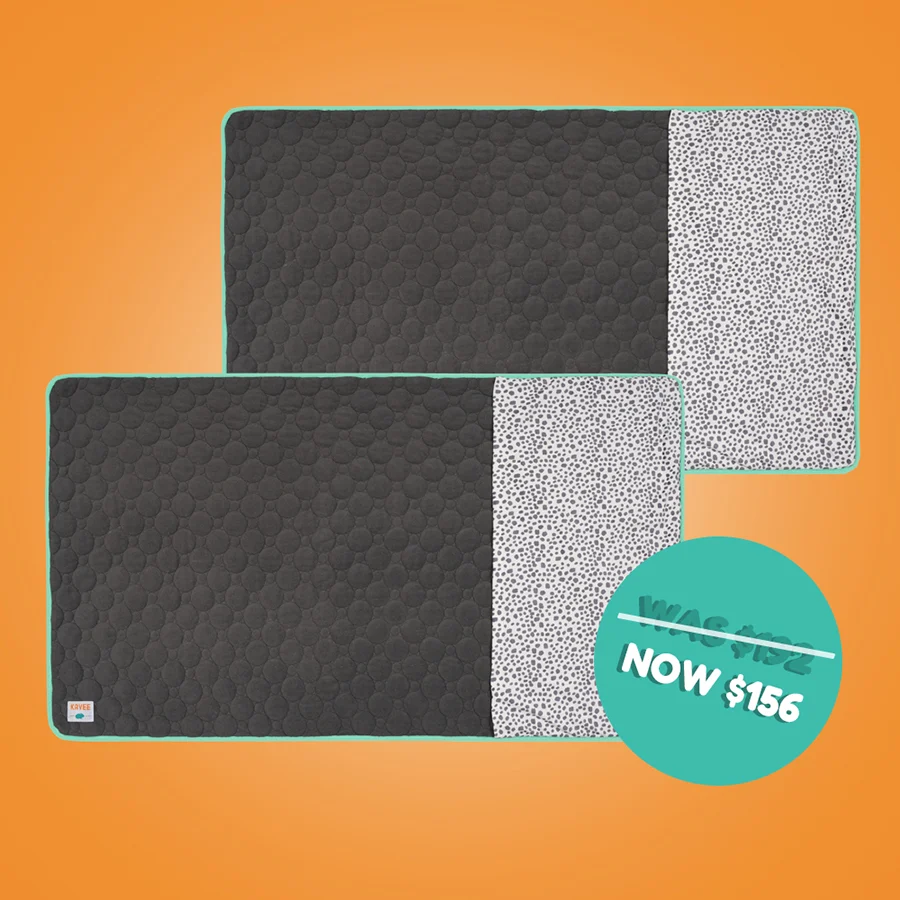Set of 2 Pocket Fleece Liners for Guinea Pigs | Dalmatian Collection - Image 5