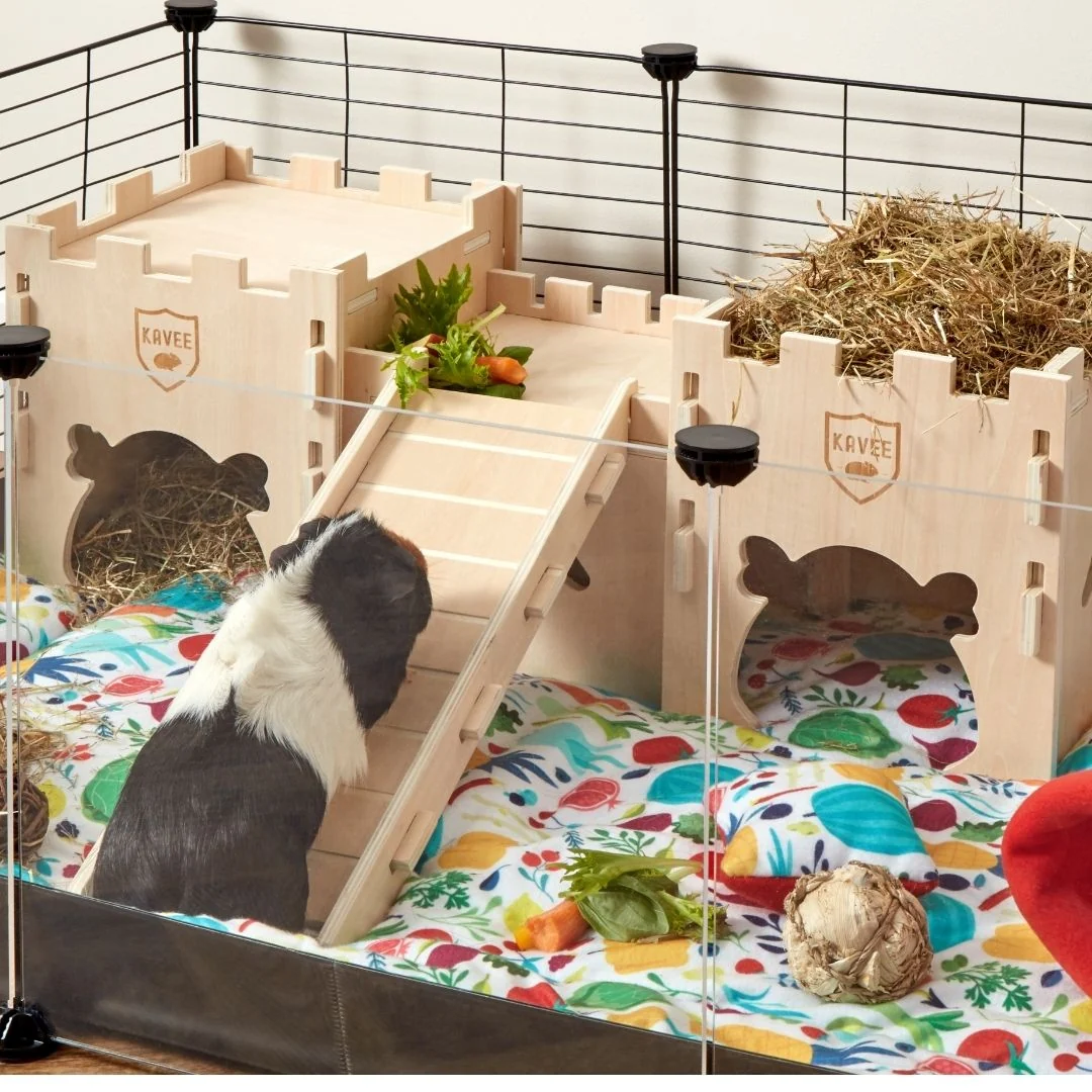 Wooden Castle with Bridge for Courageous Cavies - Image 6